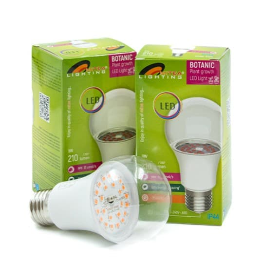 Sijalica LED Plant Botanic E27 PG 9W A60 Mitea